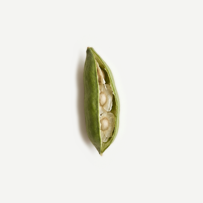 Moringa
