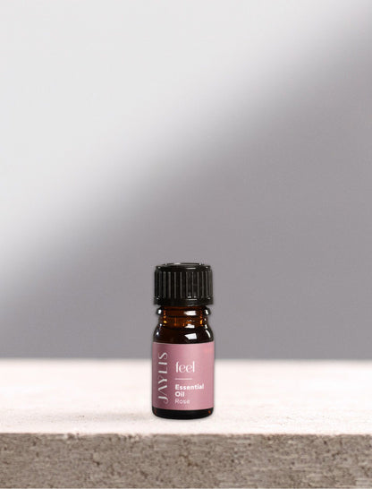 WITHIN - Alles beginnt in Dir