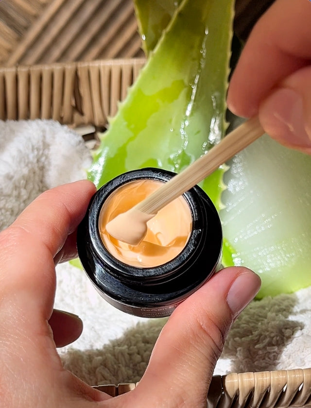 Unsere Kunden lieben 