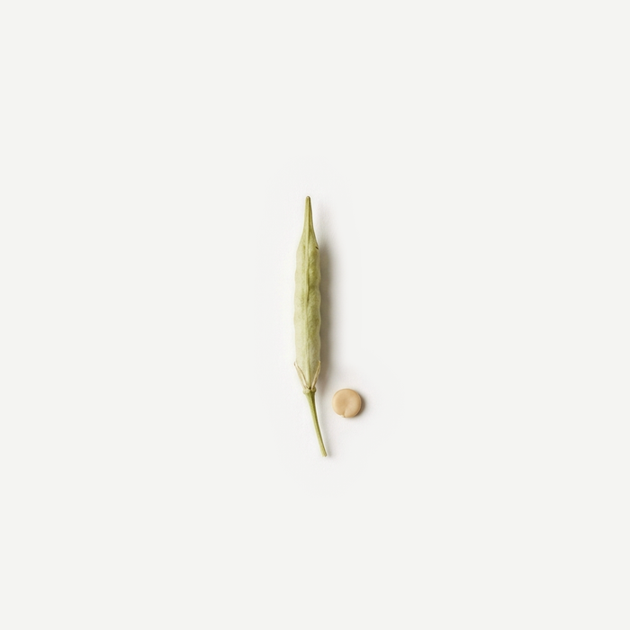 Abyssinian-Phytosterol