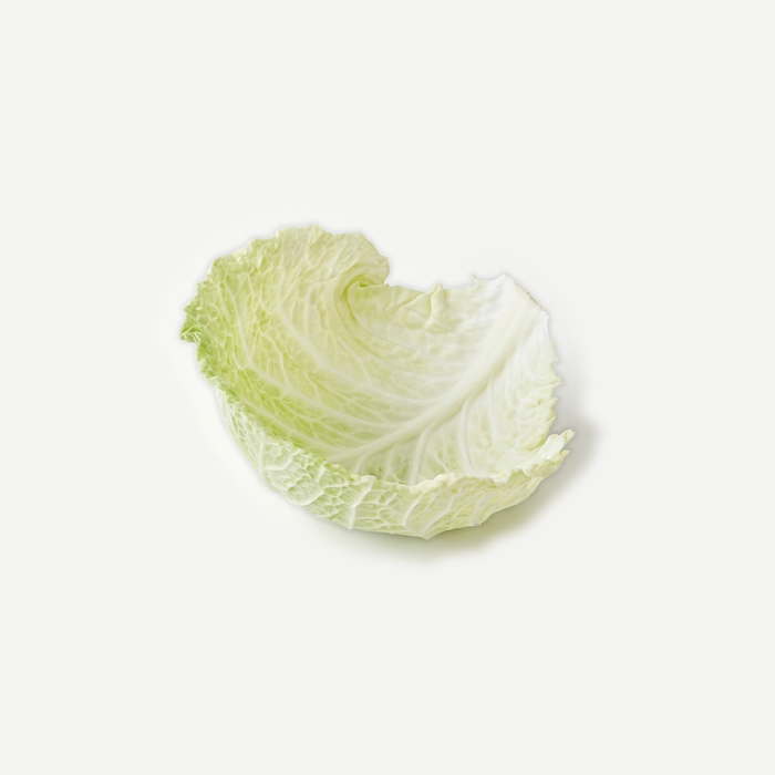 Milchsäure