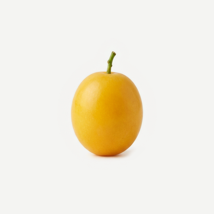 Ximenia-Öl